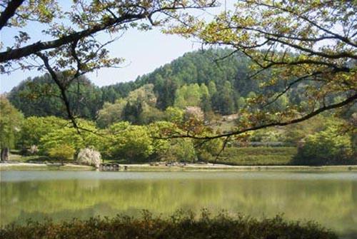 Higashine 青松馆传统日式旅馆酒店 外观 照片